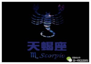 天蝎座：阴谋家的效率