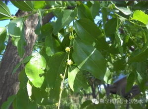 芒种：夏至前，农忙时节，播种希望！