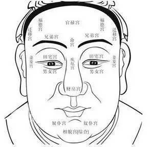 一、面相大揭秘：你家未来那口子长啥样？
