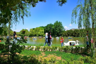 杭州植物园：总算嫩喘口气的地方