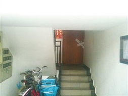 租的房子有白蚁风水好吗,租的房子有白蚁风水好吗