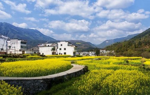 三-1、渔民早市——买鱼吃鱼不贵！(噪声)