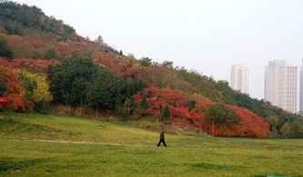 民宿里的那些事儿 (小心被坑！)