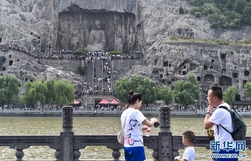 河南旅游：一场充满怨念与惊喜的奇幻漂流