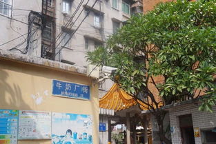 第三站：李氏食府后厨探秘