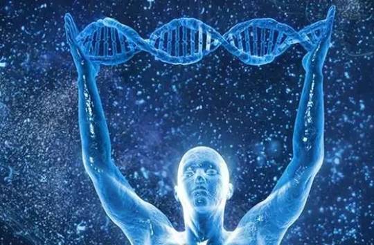 怎么查自己有没有华盖运？