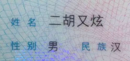 媛字到底配哪几个字才能称得上“雅致”——一场毫无章法的灵感乱撞