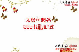 二、名字结构随心所欲：三才、五格、八卦全都抛到一边！
