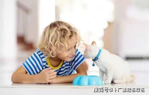 一些例子（保证“独特”）：