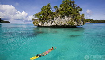 巴厘岛夜生活——星光下的螢火蟲舞會