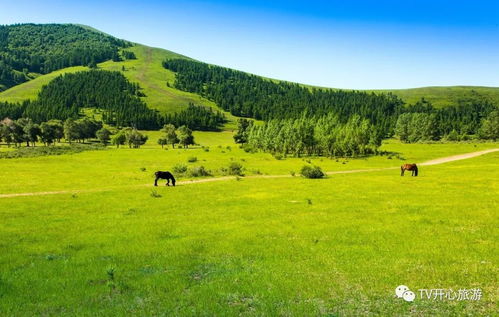 成者阝+四姑娘山+丹巴甲居藏寨+八美+新者阝桥+稻城亚丁7日游 1人起订,10人封团,低海拔行程住宿,两顿特色餐,风情晚会,随走随停
