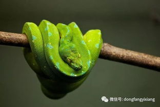 心理压力增大