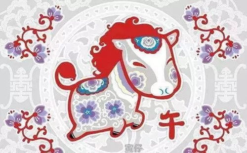 66年属马女性今日财运如何，具体运势解析是什么？