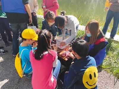 “春节祭祀烧纸变迁：传承之地变网红打卡点”