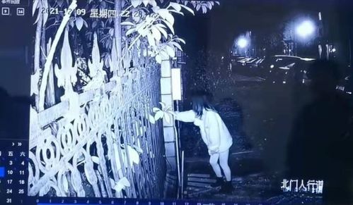 星象的迷离与忠诚的纠葛