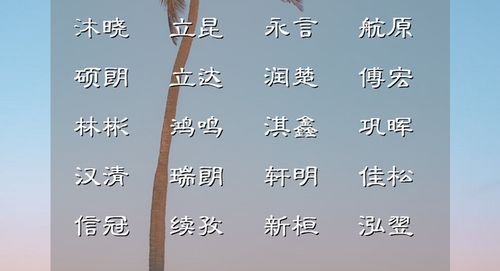 二、 百个名字灵感的荒诞性与实用性并存