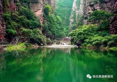 停车费：钱包君要哭了