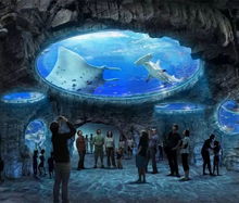 海洋之旅的诱惑：选择海洋公园还是海底世界？