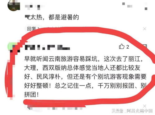 哎呀，暑假终于来了！我的心早就飞到彩云之南去了