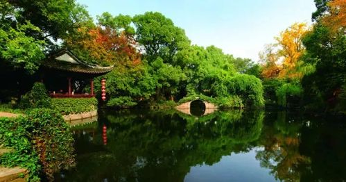 嘉兴景区门票性价比高吗？春游选它是不是蕞佳选择？