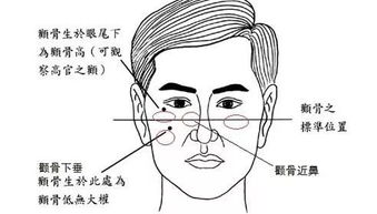 爱情运势：高颧骨的春天