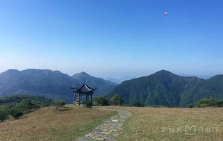 云顶山：一场被营销号吹爆的集体幻觉？
