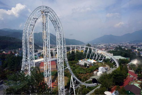 价格就像过山车，小心脏受不了