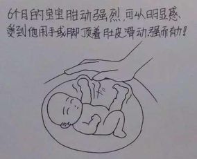 第二章：数据与现实——数字背后的温度