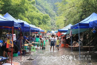 广安杨家河：一场荒诞的乡村魔幻之旅