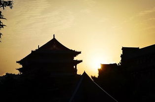 五、 探秘双城风情：西安与稻城亚丁