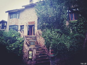 下午的挣扎与失望