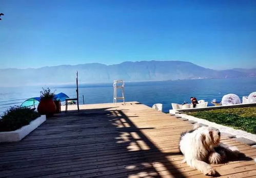 大理：洱海？臭水沟还差不多！