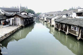 乌镇：水墨画里的“掉线”现场