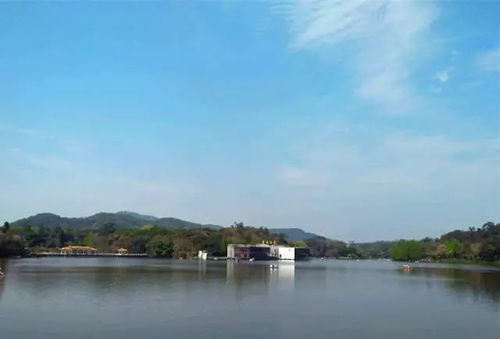 镜湖区不为人知的凌晨秘境