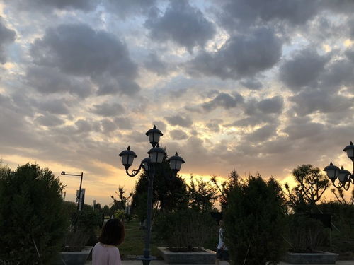 张掖自驾游：一场混乱与惊喜的狂想曲