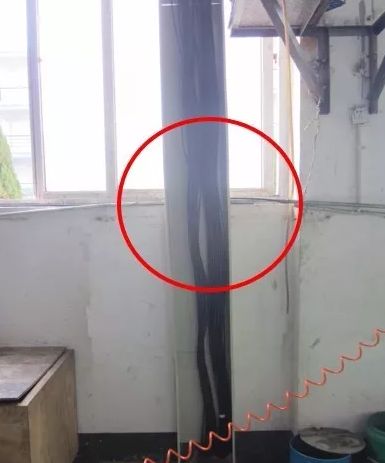 玄学大师的保命指南