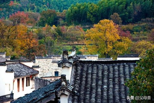 六、旅行较小贴士 —— 随便写几条不负责任提议吧！
