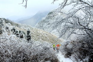 雪后初晴，这心情就像坐过山车