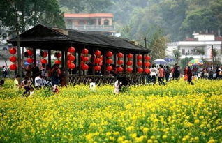 穿岩山森林公园：湖光山色，令人窒息