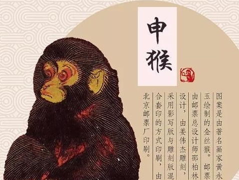 2026年属猴人的运势解析和速览分别指什么？