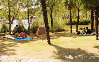 休闲娱乐活动， 共享美良好时光