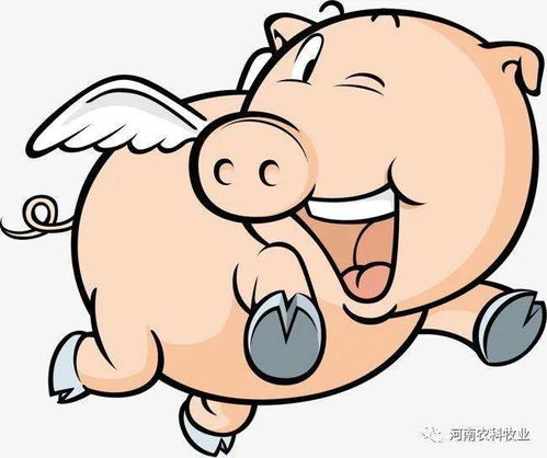 哪个生肖属水，水又代表哪个生肖？