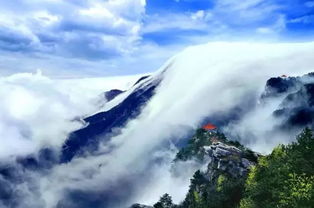 嗬！黄山真得好神奇啊！