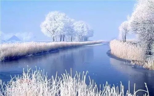 雪停了天晴了这是命运的安排吗？