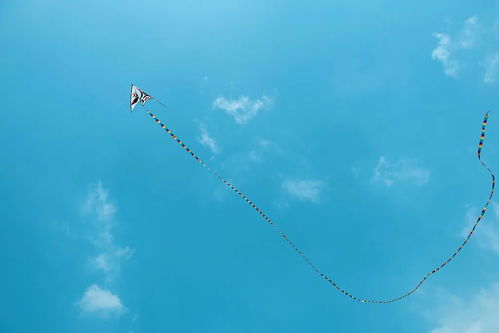 放风筝