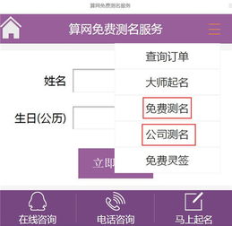 免费测名字打分服务更多如牛毛