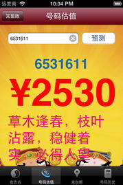 陶瓷手机电话号码测吉凶，手机算命神器准确吗？