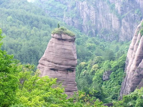 初见冠豸：一场说不清道不明的“缘分”