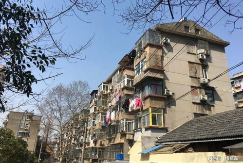 乐清那条挤死人的破街上，居然藏着这种东西？！