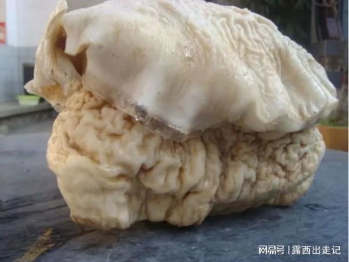 太可怕了！这些形状的太岁会带来血光之灾